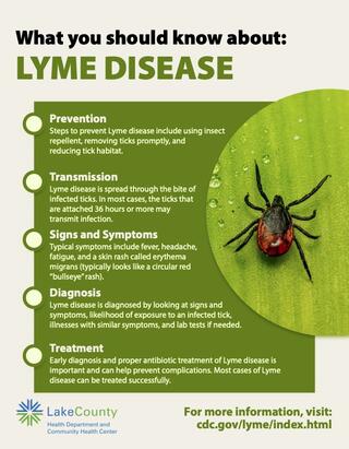 Lyme disease flyer